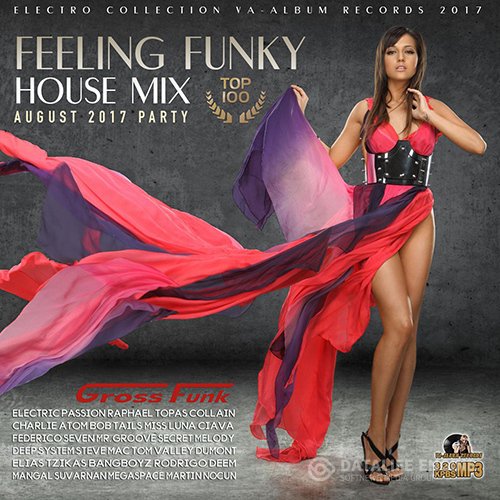 Feeling Funky: House Mix (2017)