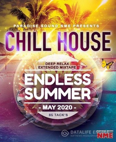 Endless Summer: Chill House Electro Mix (2020)