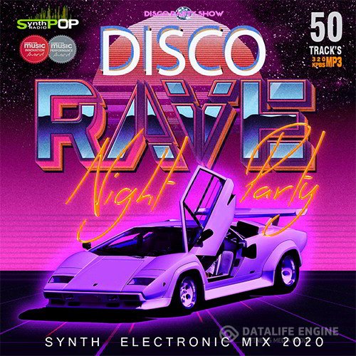 Disco Rave: Night Party (2020)