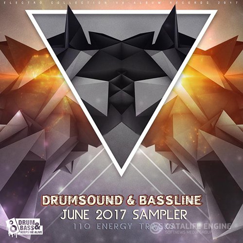 Drumsound And Bassline Sampler (2017)