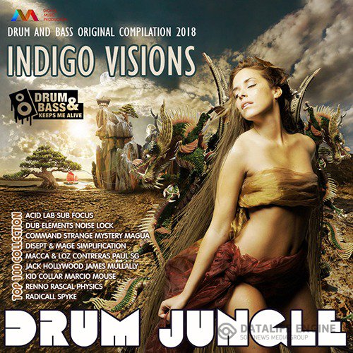 Drum Jungle: Indigo Visions (2018)