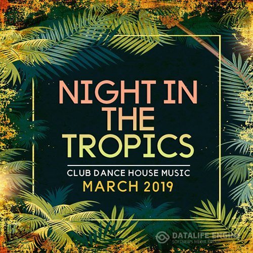 Night In The Tropics (2019)