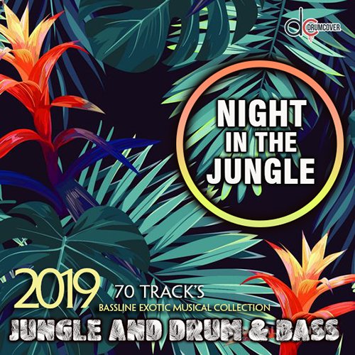 Night In The Jungle (2019)