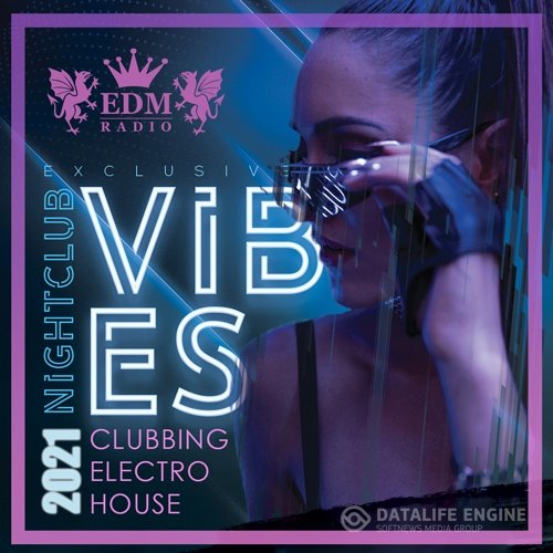 EDM Nightclub Vibes (2021)