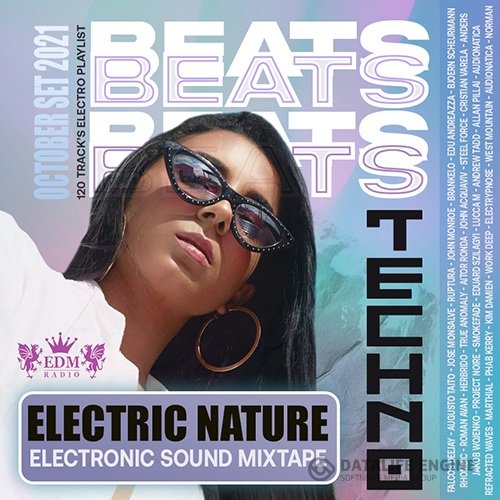 Techno Beats: Electronic Mixtape (2021)